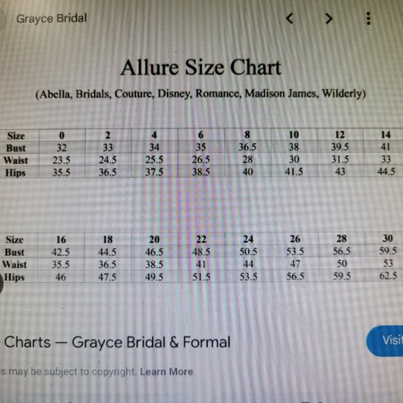 NWT~$3299~ALLURE BRIDAL~SZ 2/4~CHAMPAGNE STRAPLESS FIT & FLARE WEDDING DRESS - Picture 16 of 16